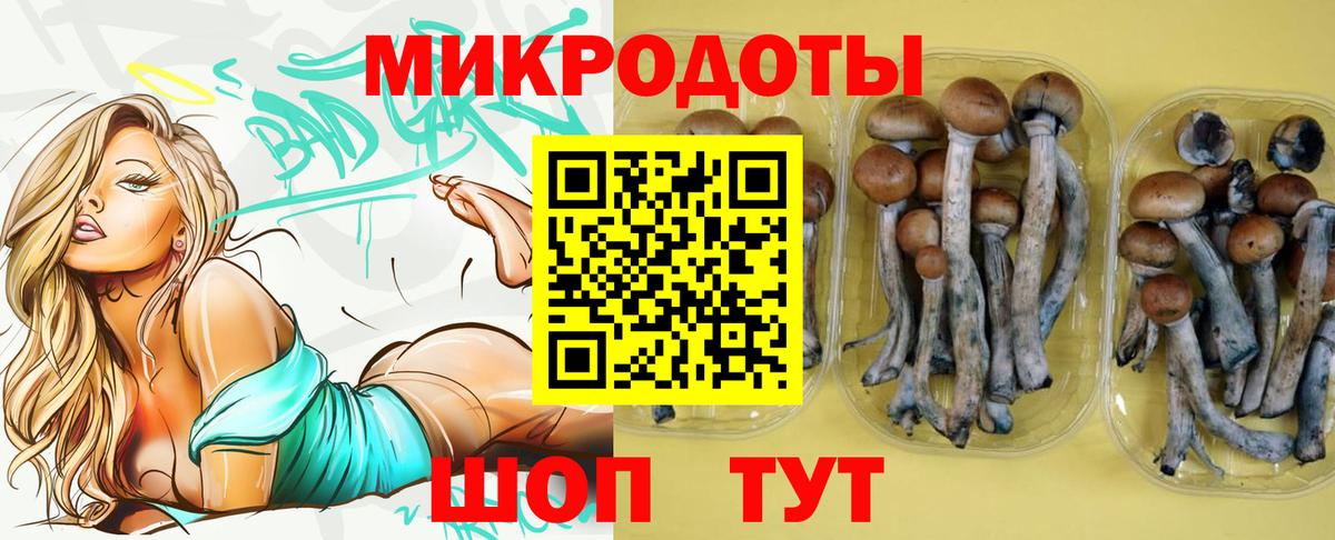 Псилоцибиновые грибы ЛСД  Вход с VPN  Ялуторовск 