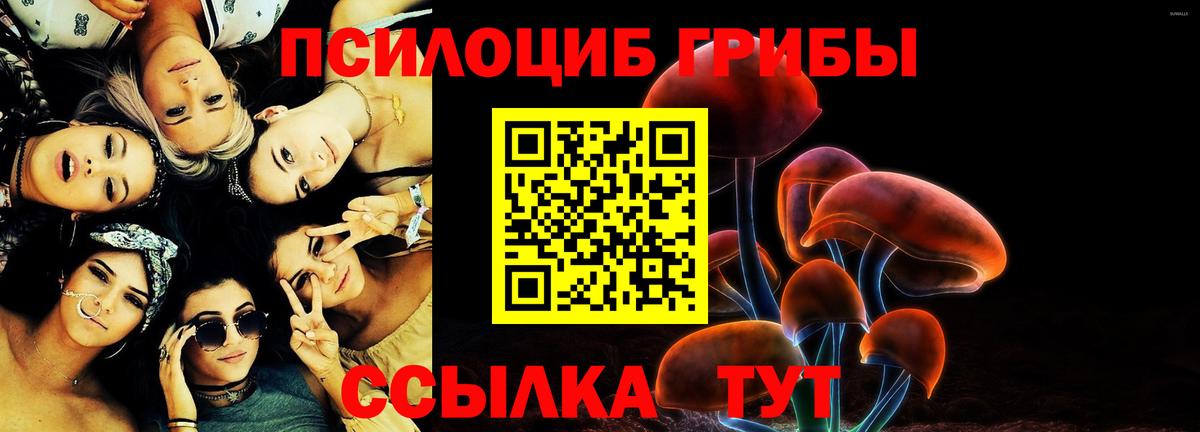 Псилоцибиновые грибы Psilocybine cubensis Ялуторовск